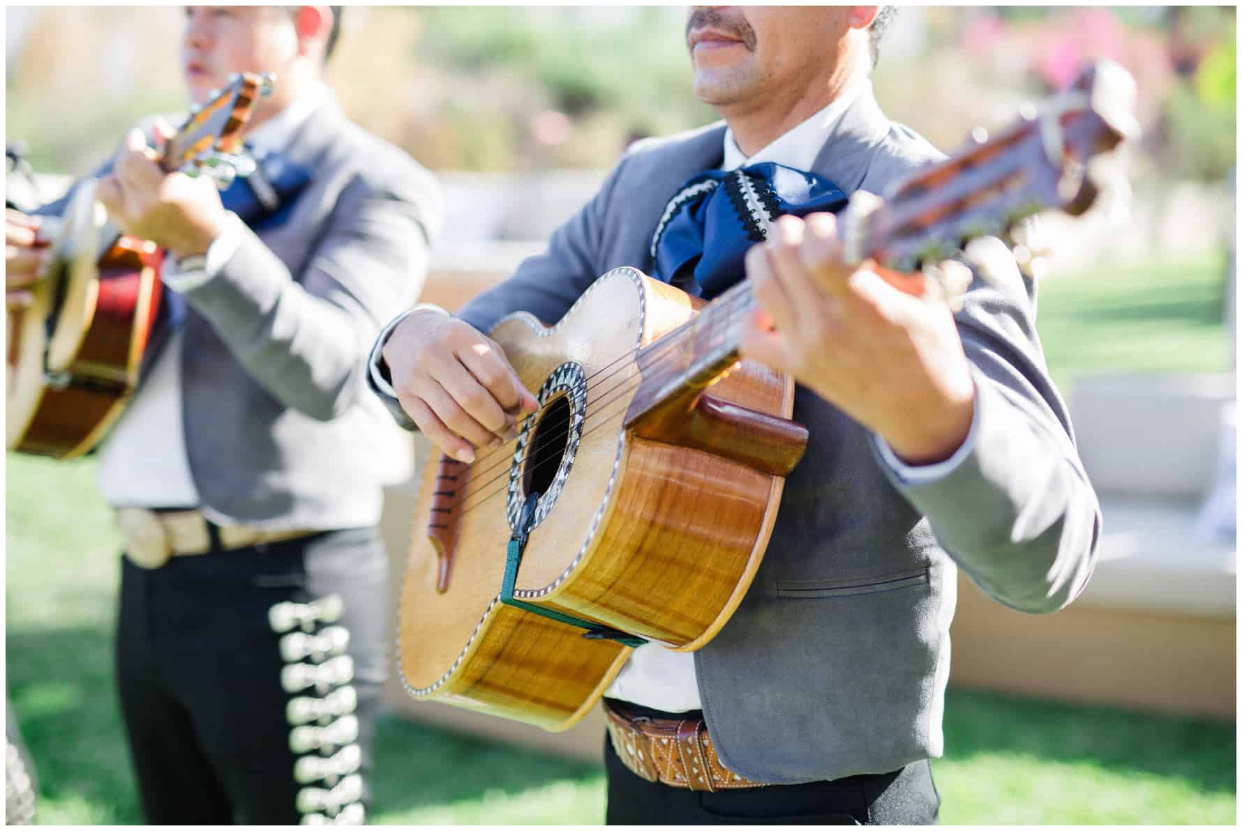 Cabo-Wedding-Photographer---Sara-Richardson_1476